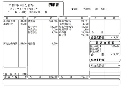 トライアル 給料 明細